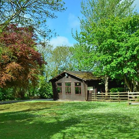 Villa 37 Trevithick Court, Tolroy Manor Hayle Exterior foto